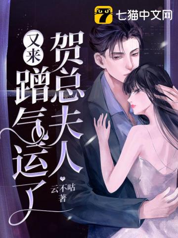 贺总夫人又去摆摊了全集解说