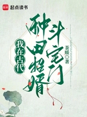 我在古代种田招婿斗宅门茶暖