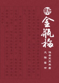 新金瓶梅未减